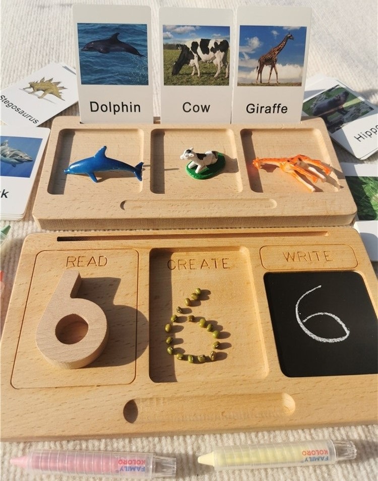 Montessori Shelf Toy - Tebeşir bölünmüş tepsiler ile Montessori oyuncaklar