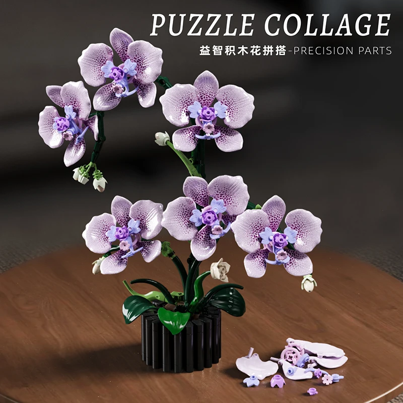 Orkide Saksı Bitkileri Simülas - Orchid Kids Education incelemesi ve fiyatı