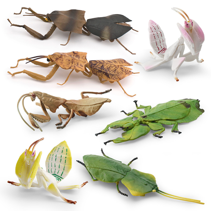 Gerçekçi Orkide Mantis Ölü Yap - Orchid Kids Education incelemesi ve fiyatı