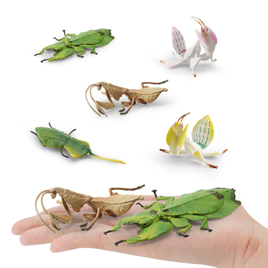 Gerçekçi Orkide Mantis Ölü Yap - Orchid Kids Education incelemesi ve fiyatı